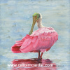 Pink Feathered Beauty 22" x 22"